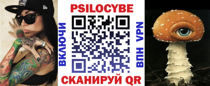 Купить закладки  Новомосковск  Галлюциногенные грибы Magic Shrooms 
